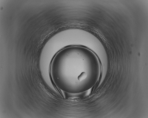 X0000082710411200702091752