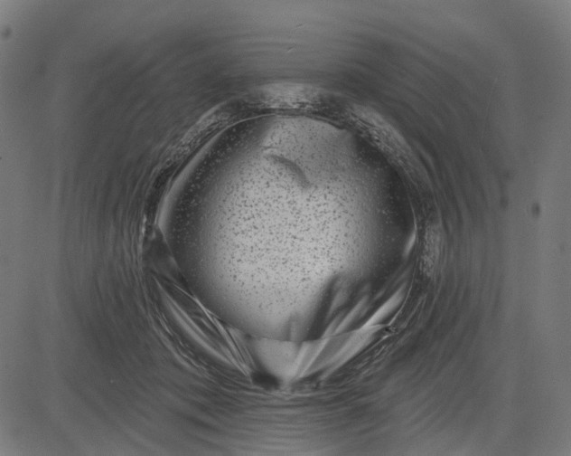 X0000082710413200702091752