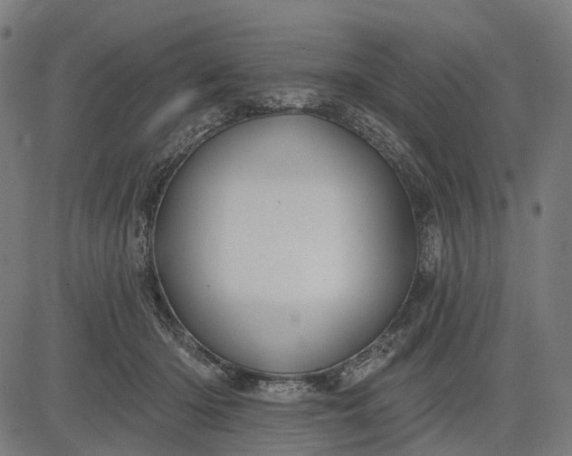 X0000082710414200702091752