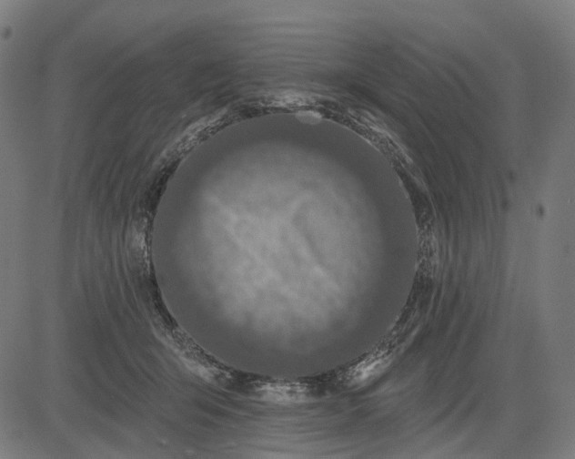 X0000082710415200702091752