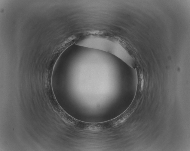 X0000082710416200702091752