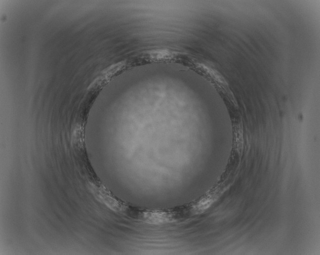 X0000082710419200702091752