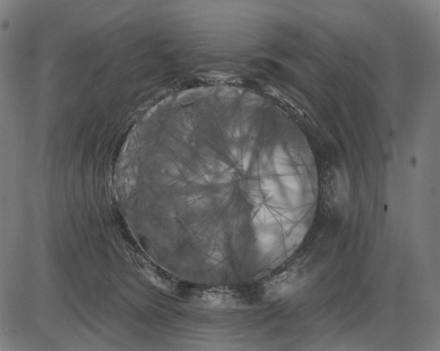 X0000082710420200702091752