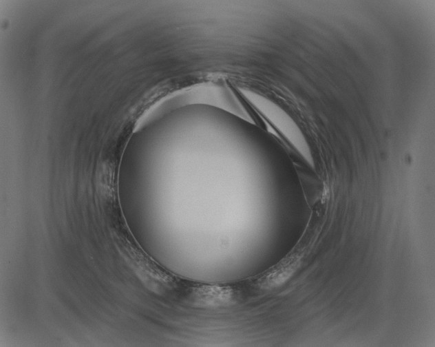 X0000082710421200702091752