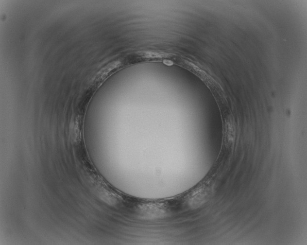 X0000082710422200702091752