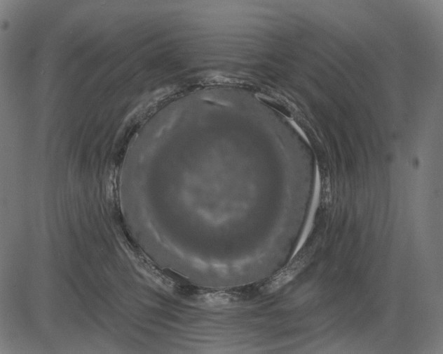 X0000082710423200702091752