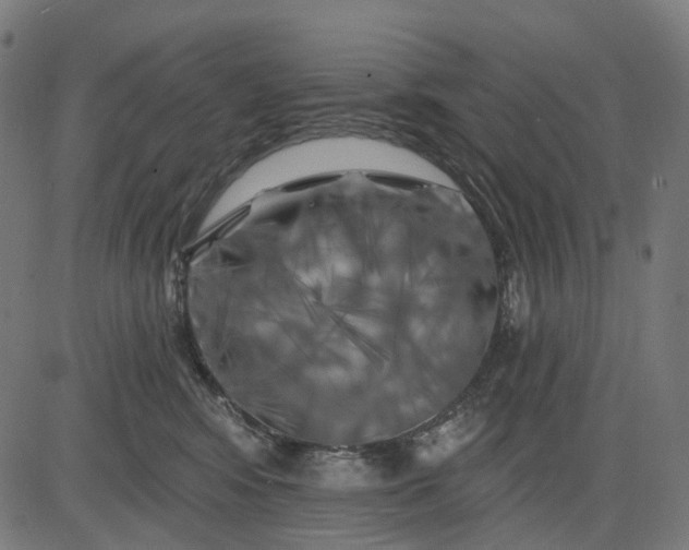 X0000082710424200702091752