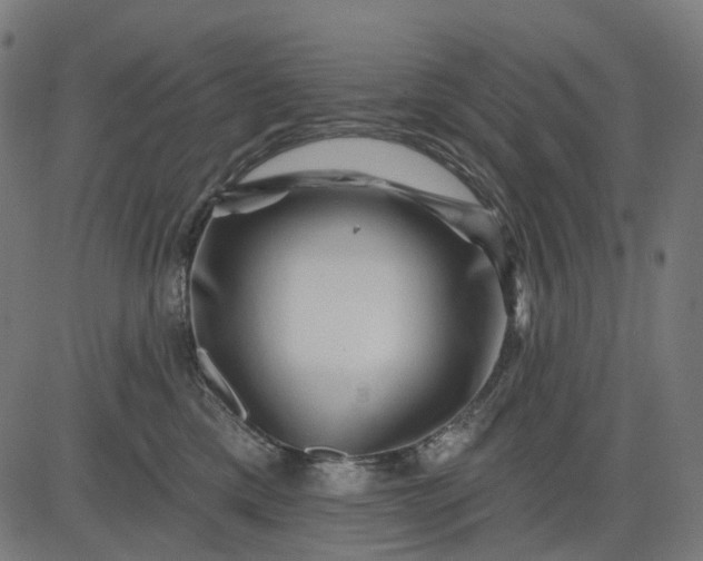 X0000082710425200702091752