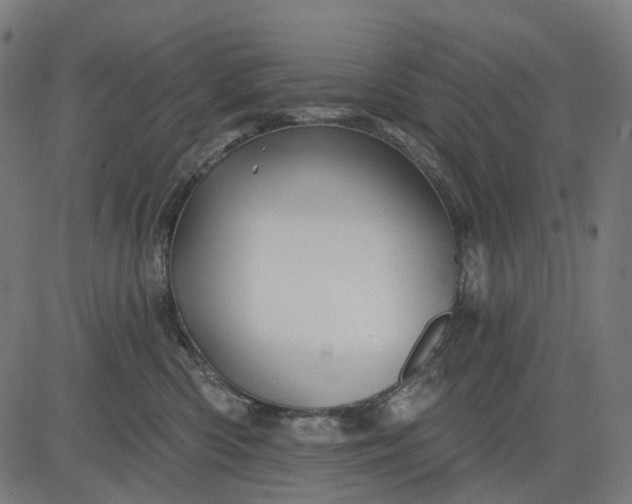 X0000082710426200702091752