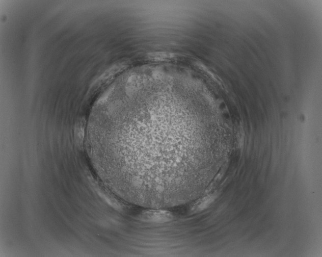 X0000082710427200702091752