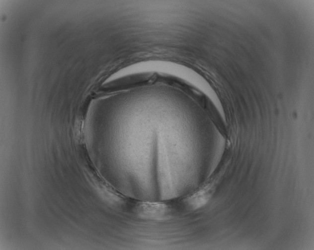 X0000082710429200702091752