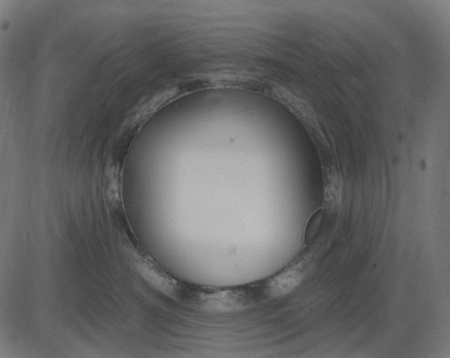 X0000082710430200702091752