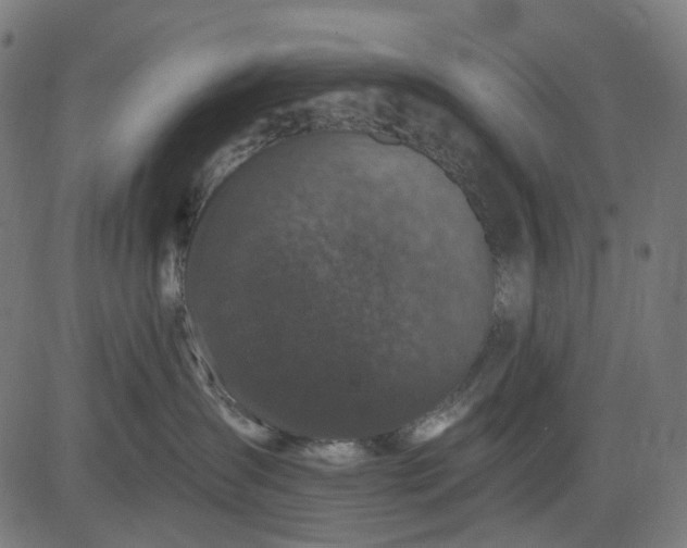 X0000082710431200702091752