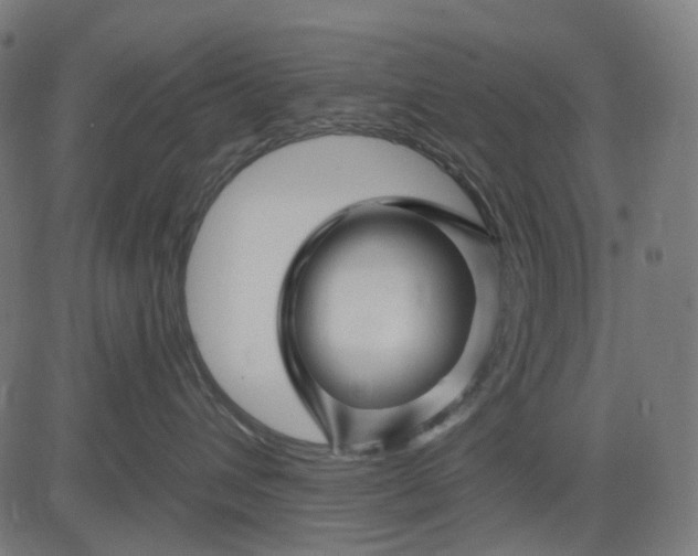 X0000082710432200702091752