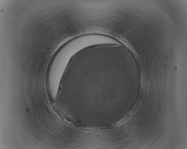 X0000082710434200702091751