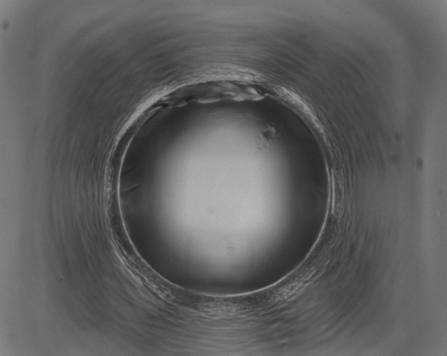 X0000082710435200702091751