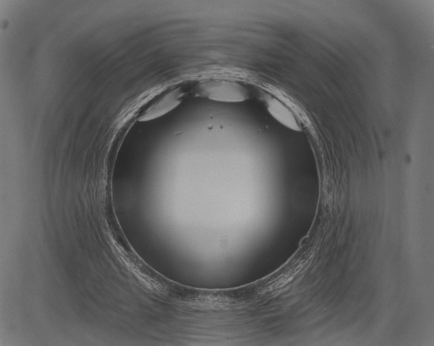 X0000082710437200702091751