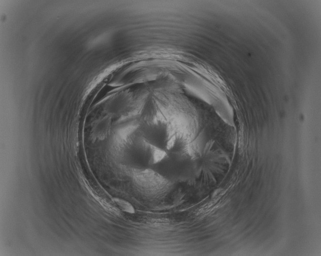 X0000082710438200702091751