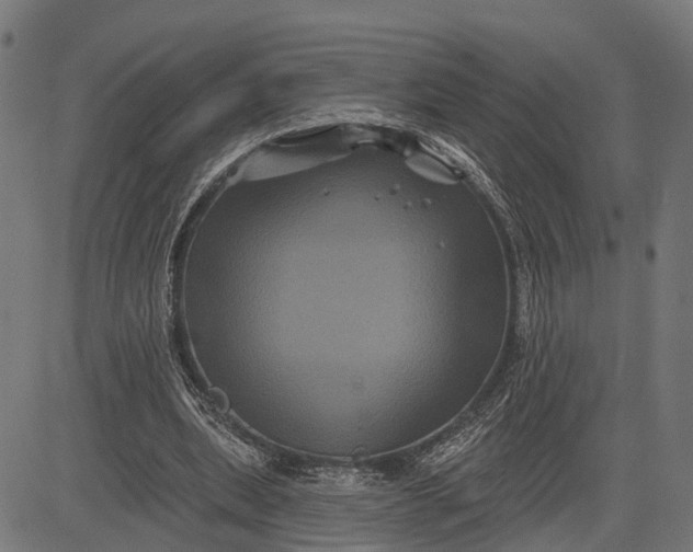 X0000082710439200702091751