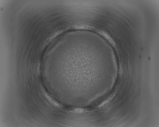 X0000082710441200702091751