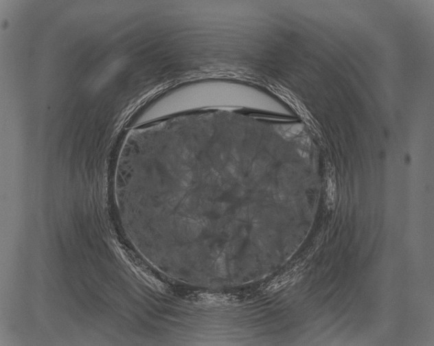 X0000082710442200702091751