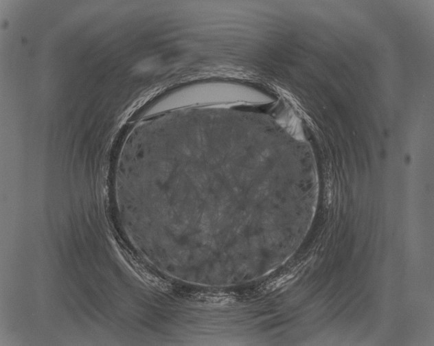 X0000082710443200702091751