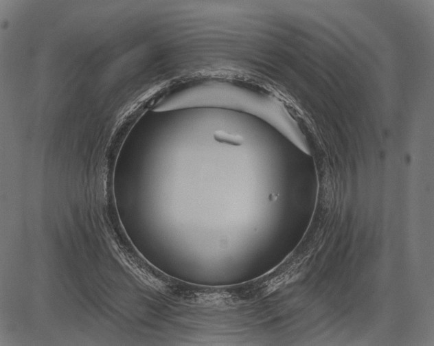 X0000082710446200702091751