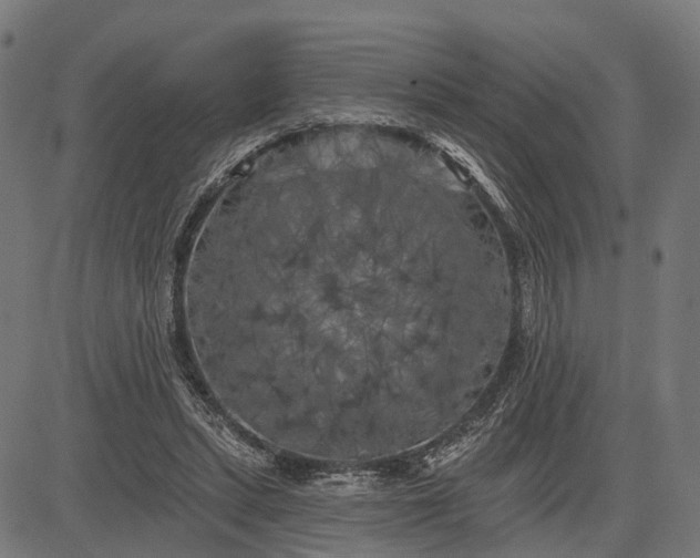 X0000082710447200702091751