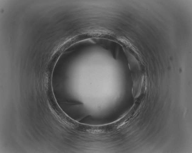 X0000082710448200702091751