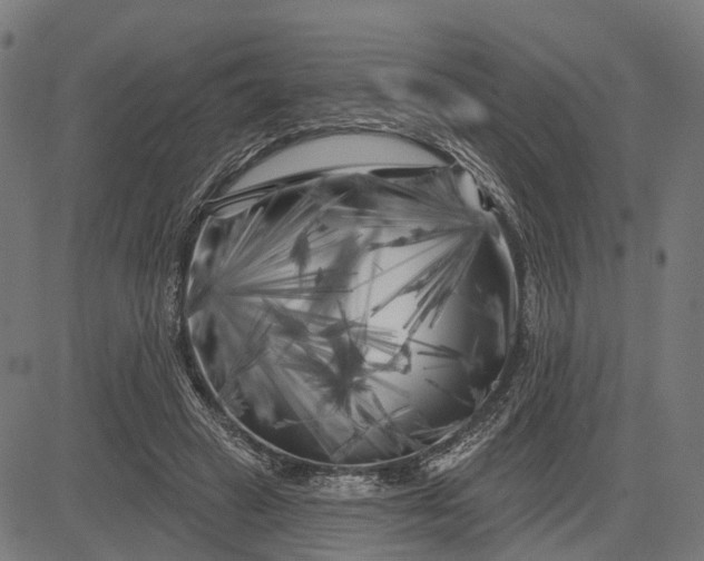 X0000082710449200702091751