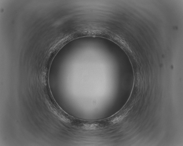 X0000082710450200702091751