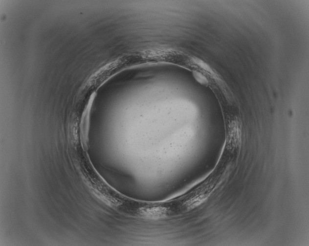 X0000082710452200702091752