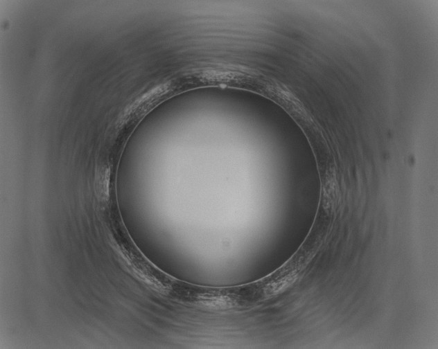 X0000082710454200702091752