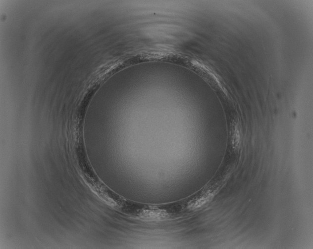 X0000082710455200702091752