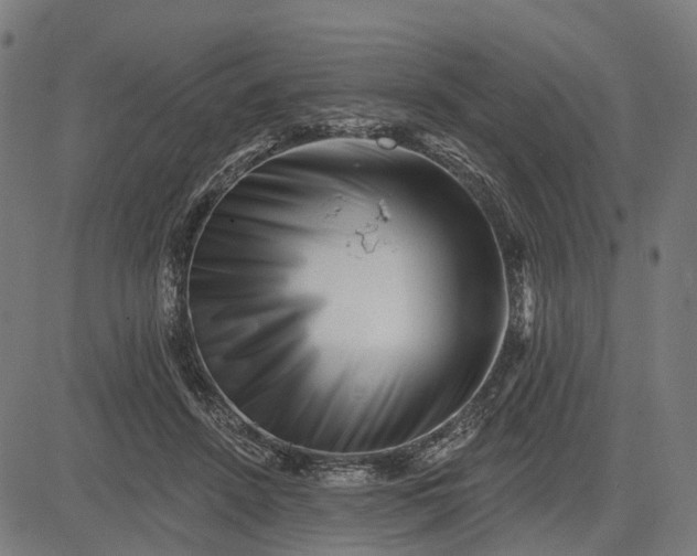 X0000082710456200702091752