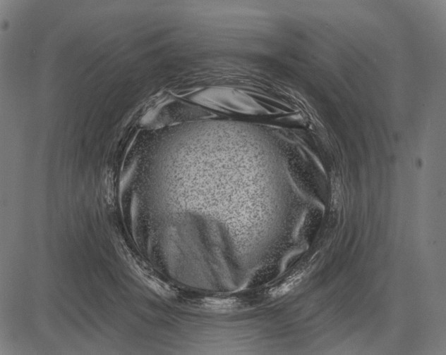 X0000082710457200702091752