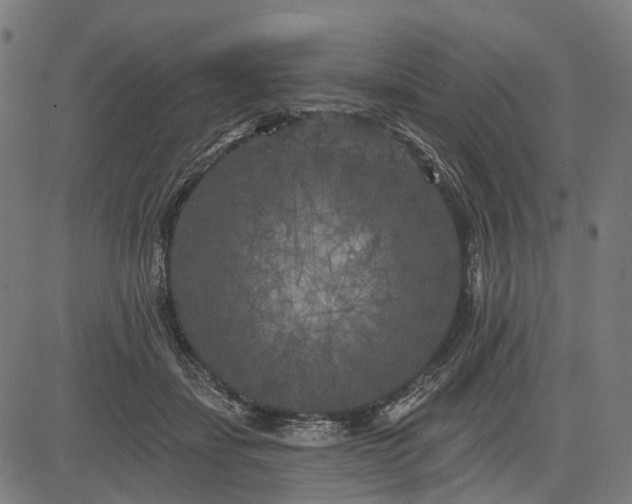 X0000082710459200702091752