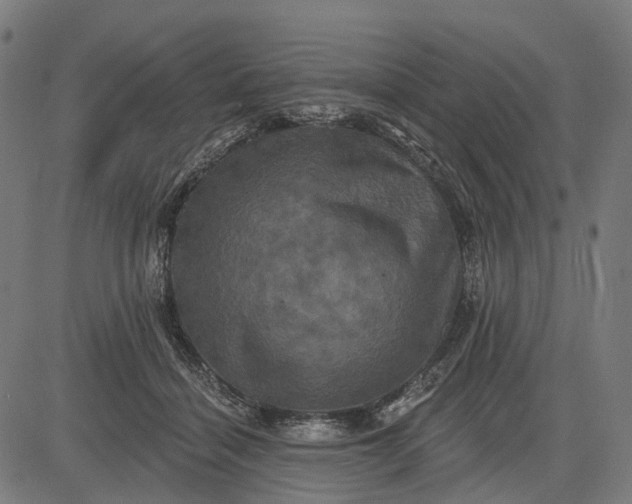 X0000082710460200702091752