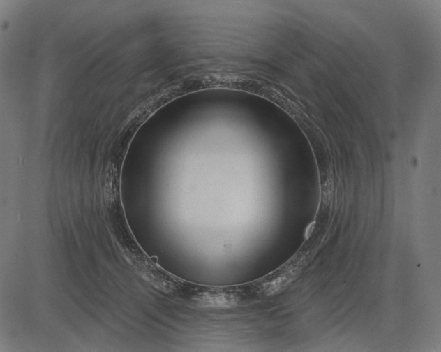 X0000082710464200702091752