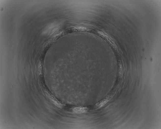 X0000082710465200702091752