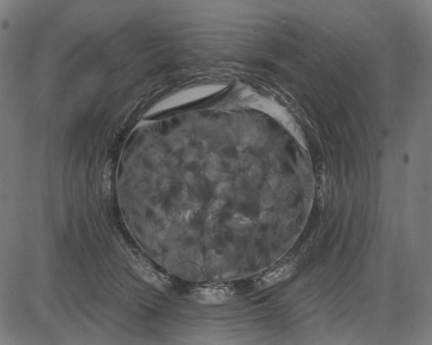 X0000082710466200702091752