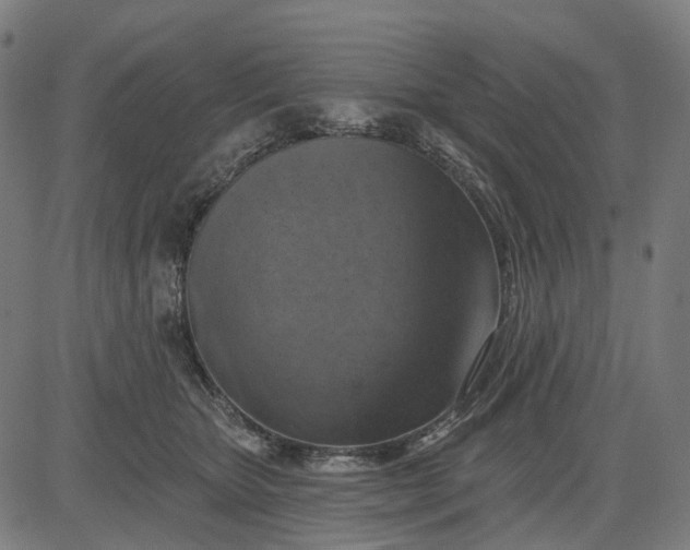 X0000082710467200702091752