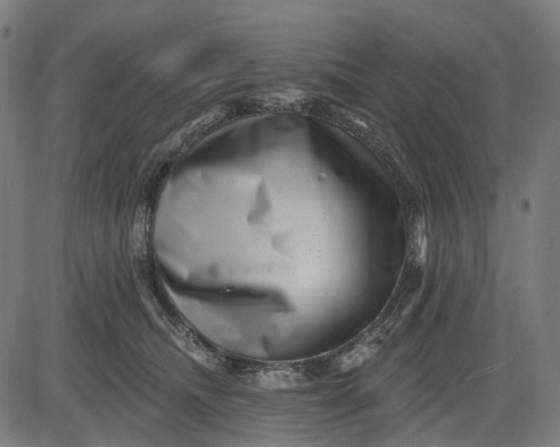 X0000082710468200702091752