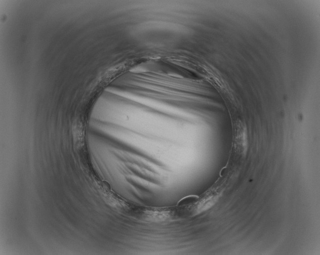 X0000082710469200702091752