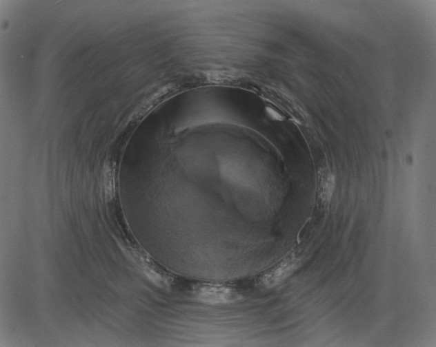 X0000082710471200702091752