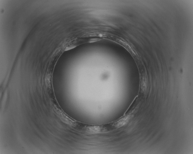 X0000082710473200702091752