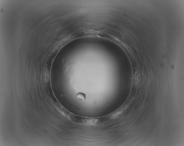 X0000082710474200702091752