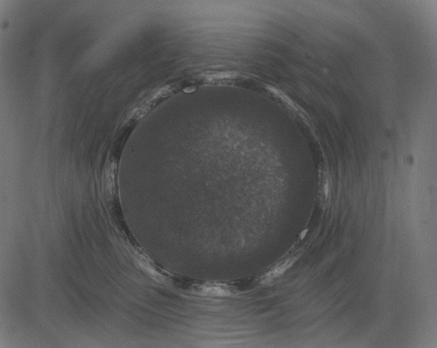 X0000082710475200702091752