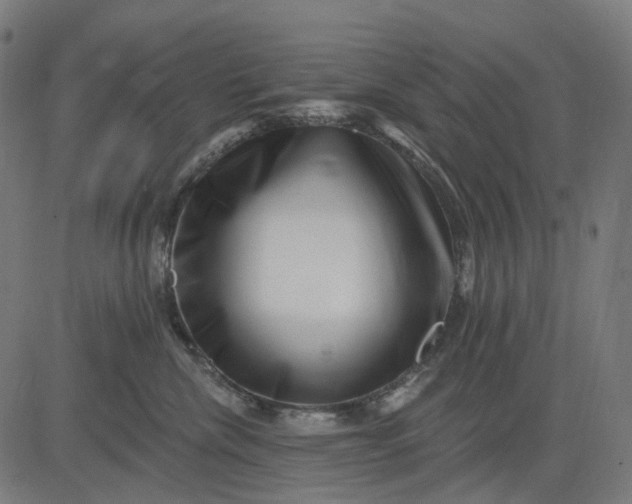 X0000082710476200702091752