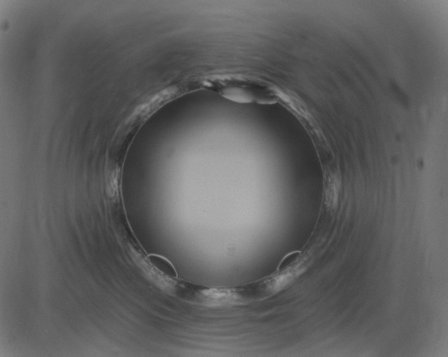 X0000082710477200702091752